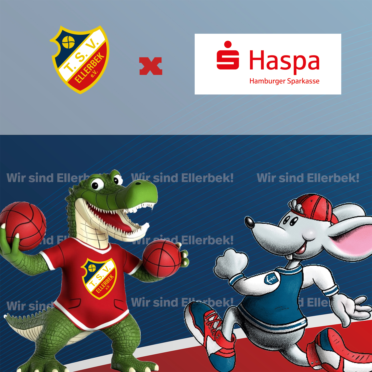 HAspa und der TSV - Kinder erhalten freien Eintritt