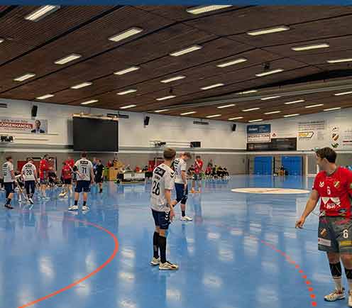 TSV Halle Spiel gegenen SG FleHa 2